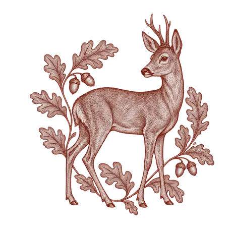 Roe deer surrounded by oak leaves